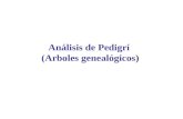 Análisis de Pedigrí  (Arboles genealógicos )