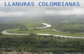 LLANURAS COLOMBIANAS