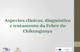 Aspectos cl­nicos, diagn³stico e tratamento da Febre do Chikungunya