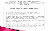 PROYECTO DE MEJORA  DE  LA ATENCIÓN PERINATAL EN LA RED PÚBLICA HOSPITALARIA DE ANDALUCÍA