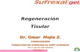 Dr. Omar   Mejia  Z. FUNDANIQUEM FUNDACION DE ATENCION AL NIÑO QUEMADO