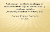 Carlos  Franco Pacheco IPDEL