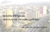 SESIÓN MENSUAL SERVICIO DE CIRUGÍA GENERAL DR. MIGUEL ELJURE  ELJURE