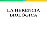 LA HERENCIA BIOLÓGICA