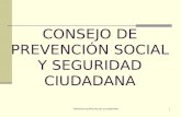 CONSEJO DE PREVENCIÓN SOCIAL Y SEGURIDAD CIUDADANA