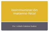 Isoinmunización materno-fetal