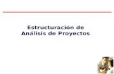 Estructuración de Análisis de Proyectos
