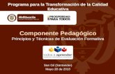 Componente Pedagógico Principios y Técnicas de Evaluación Formativa