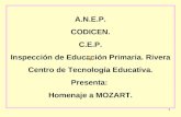 A.N.E.P. CODICEN. C.E.P. Inspección de Educación Primaria. Rivera Centro de Tecnología Educativa.
