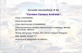 Escuela Secundaria # 45  “Carmen Cervera Andrade”. Clave 31EES0059H. Zona Escolar:008.