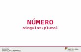 NÚMERO singular/plural