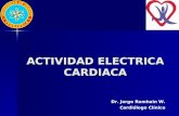 ACTIVIDAD ELECTRICA CARDIACA