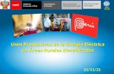 Usos Productivos de la Energía Eléctrica en Áreas Rurales Electrificadas