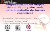 Segmentación de mapas de amplitud y sincronía para el estudio de tareas cognitivas