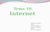 Tema 10: Internet
