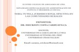 EXPOSITOR: DR. ERICKSON COSTA CARHUAVILCA DOCENTE: UNIVERSIDAD INCA GARCILASO DE LA VEGA