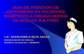 GUIA DE ATENCION DE ENFERMERIA EN PACIENTES SOMETIDOS A CIRUGIA HERNIA DE NUCLEO PULPOSO
