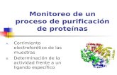 Monitoreo de un proceso de purificación de proteínas