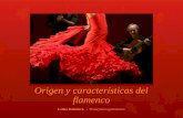 Origen y características del flamenco Lenka Kubešová   -   Masarykovo  gymnázium