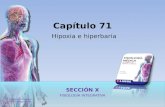 Capítulo 71 Hipoxia  e hiperbaria