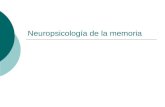 Neuropsicología de la memoria