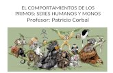 EL COMPORTAMIENTOS DE LOS PRIMOS: SERES HUMANOS Y MONOS Profesor: Patricio  Corbal