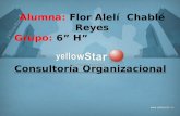 Alumna:  Flor Alelí  Chablé Reyes Grupo:  6” H” Consultoría  Organizacional