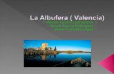 La Albufera ( Valencia)