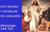 SOY MANSO Y HUMILDE DE CORAZÓN (Domingo 14A TO)