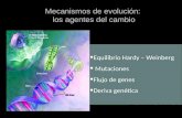 Equilibrio Hardy – Weinberg  Mutaciones Flujo de genes Deriva genética
