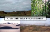 Comunidades  y ecosistemas