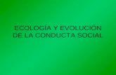 ECOLOGÍA Y EVOLUCIÓN DE LA CONDUCTA SOCIAL