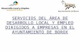 SERVICIOS DEL ÁREA DE DESARROLLO LOCAL Y EMPLEO DIRIGIDOS A EMPRESAS EN EL AYUNTAMIENTO DE BOROX