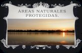 Áreas Naturales Protegidas.