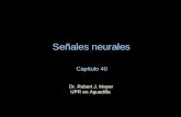 Señales neurales Capítulo 40 Dr. Robert J. Mayer           UPR en Aguadilla