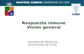 Respuesta inmune Visión general