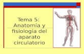 Tema 5:  Anatomía y fisiología del aparato circulatorio
