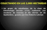 COLECTANDO EN LAS 2,000 HECTAREAS