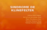 SINDROME DE KLINEFELTER