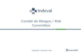 Comit© de Riesgos /  Risk Committee