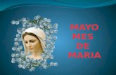 MAYO MES  DE  MARIA