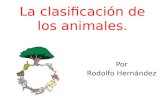 La clasificación de los animales.