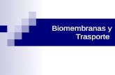 Biomembranas y Trasporte