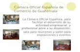 C ámara Oficial Española de Comercio de Guatemala