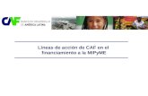Líneas de acción de CAF en el  financiamiento a la  MIPyME