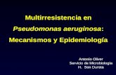 Multirresistencia en Pseudomonas aeruginosa : Mecanismos y Epidemiología
