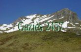 Gaziès 2457