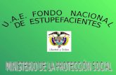 MINISTERIO DE LA PROTECCIÓN SOCIAL