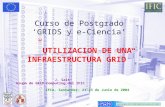 Curso de Postgrado ‘GRIDS y e-Ciencia’ ” UTILIZACION DE UNA INFRAESTRUCTURA GRID”