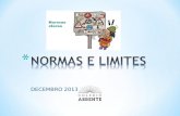 NORMAS E LIMITES